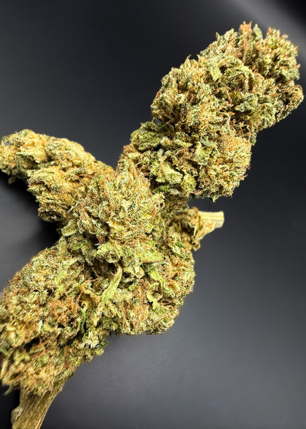 GORILLA GLUE