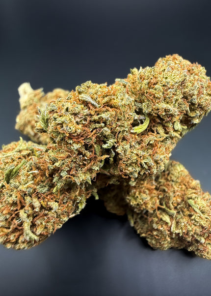 GELATO