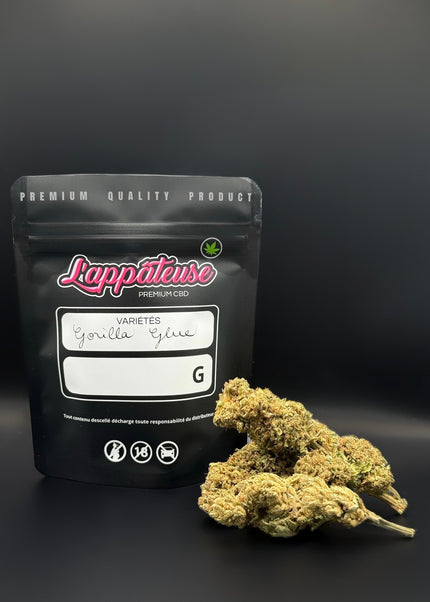 GORILLA GLUE