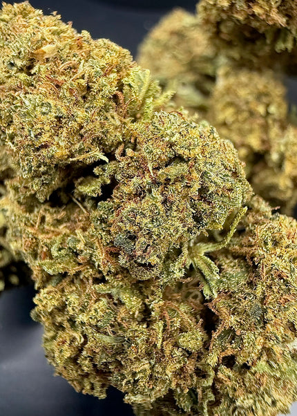 AMNESIA
